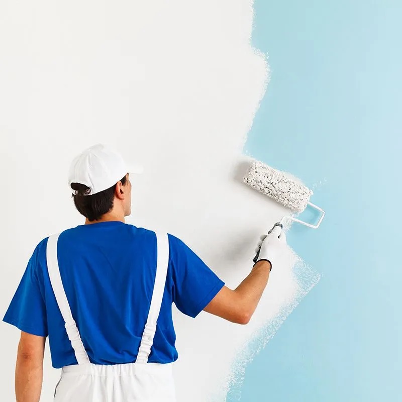 Nergiz iç cephe boyama